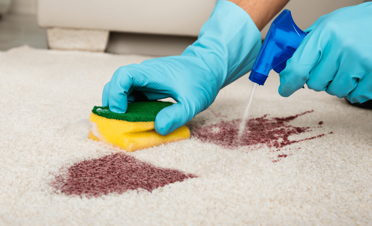 Cleaning a red stain on a white carpet using a sponge and a DIY carpet cleaner in a spray bottle.