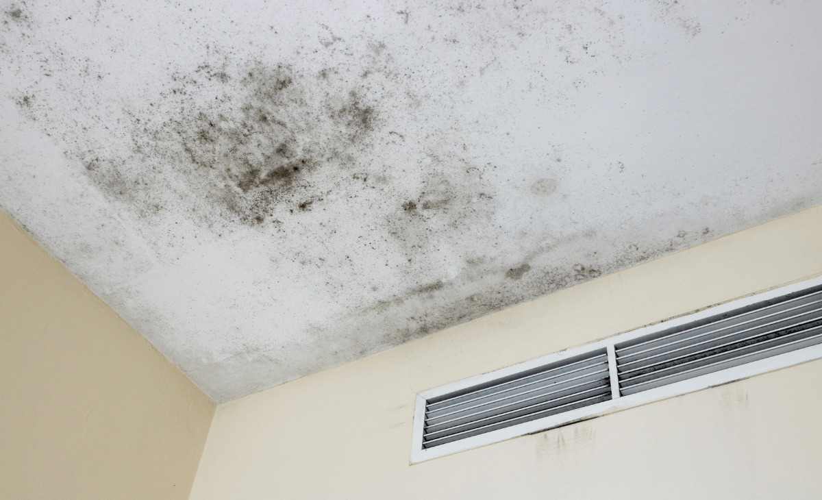 Mold on ceiling with visible black stains caused by poor ventilation, highlighting effective removal tips