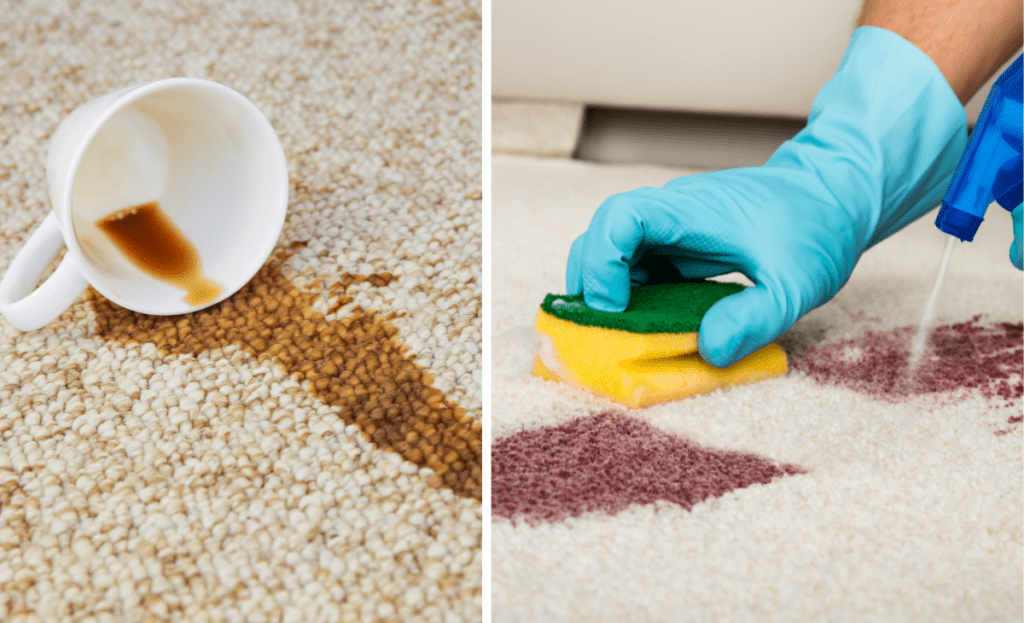 Close-up of a coffee stain being removed from a white carpet using a cleaning machine.